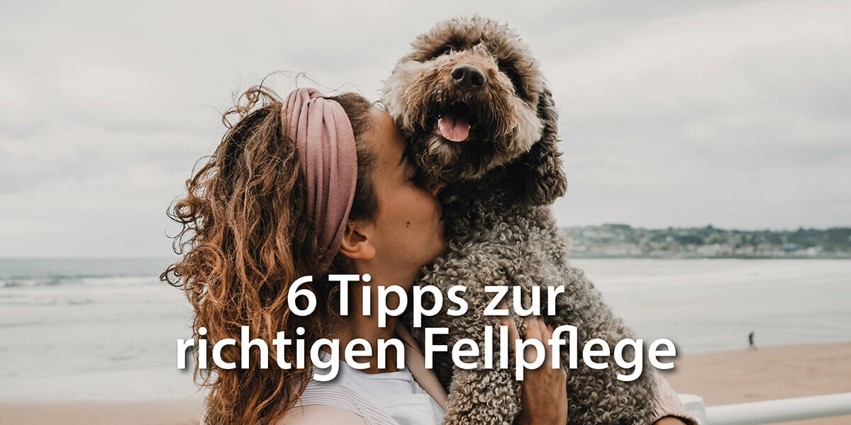 Frau kuschelt mit Hund am Strand und hält ihn auf dem Arm - 6 Tipps zur richtigen Fellpflege