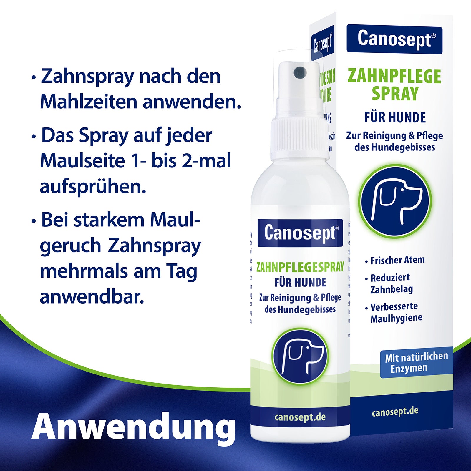 Hund wird Maul aufgehalten - Bekämpft Maulgeruch