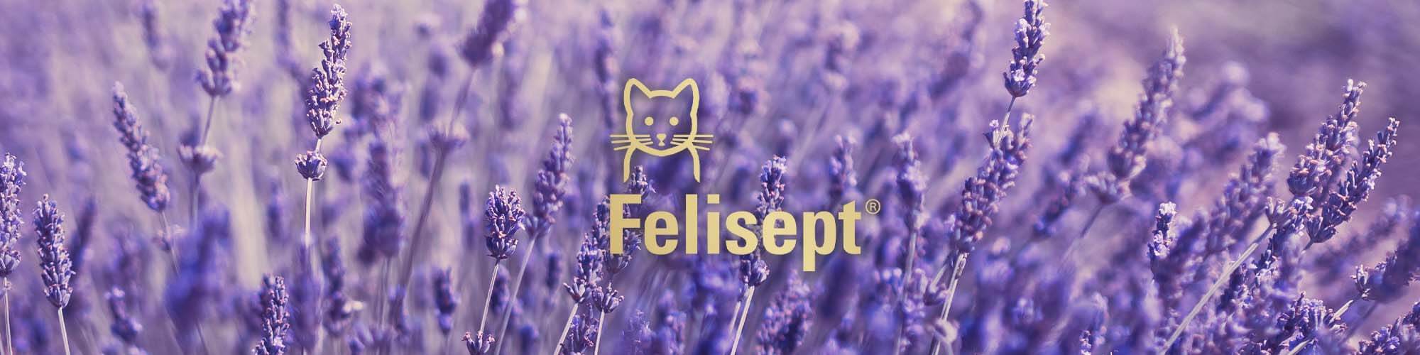 Felisept Header Katzenberuhigung