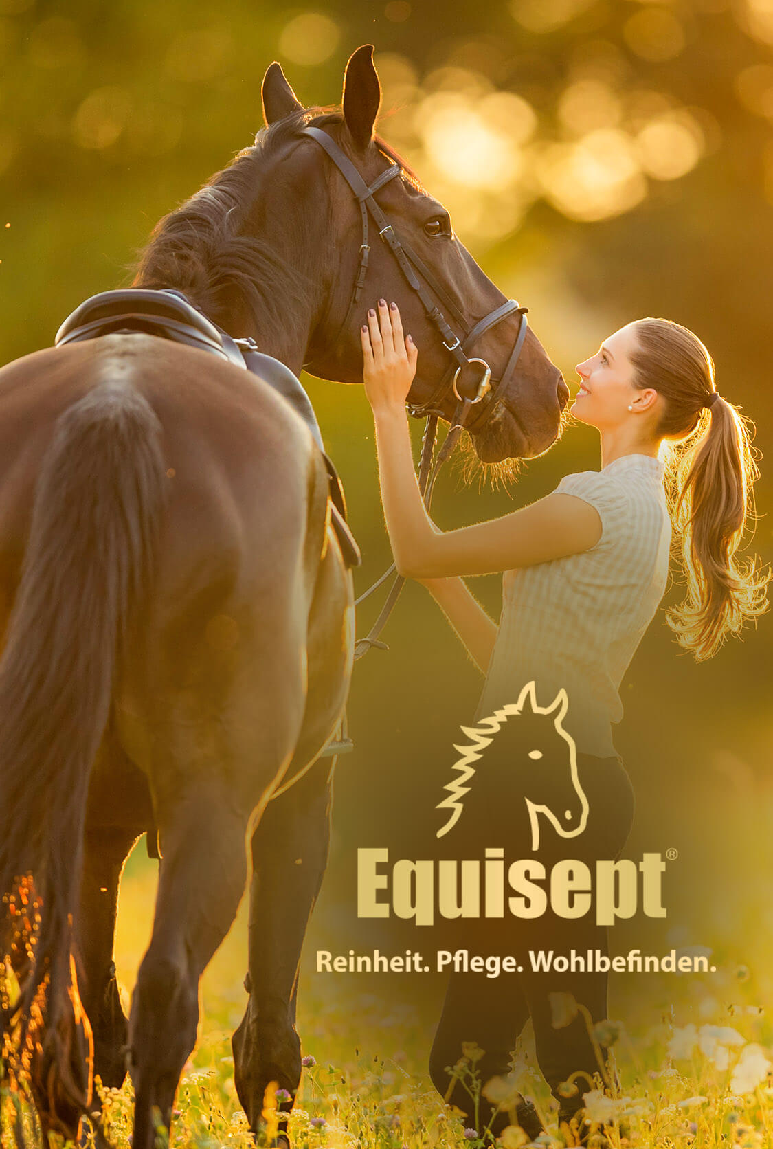 Equisept - Reinheit, Pflege, Wohlbefinden