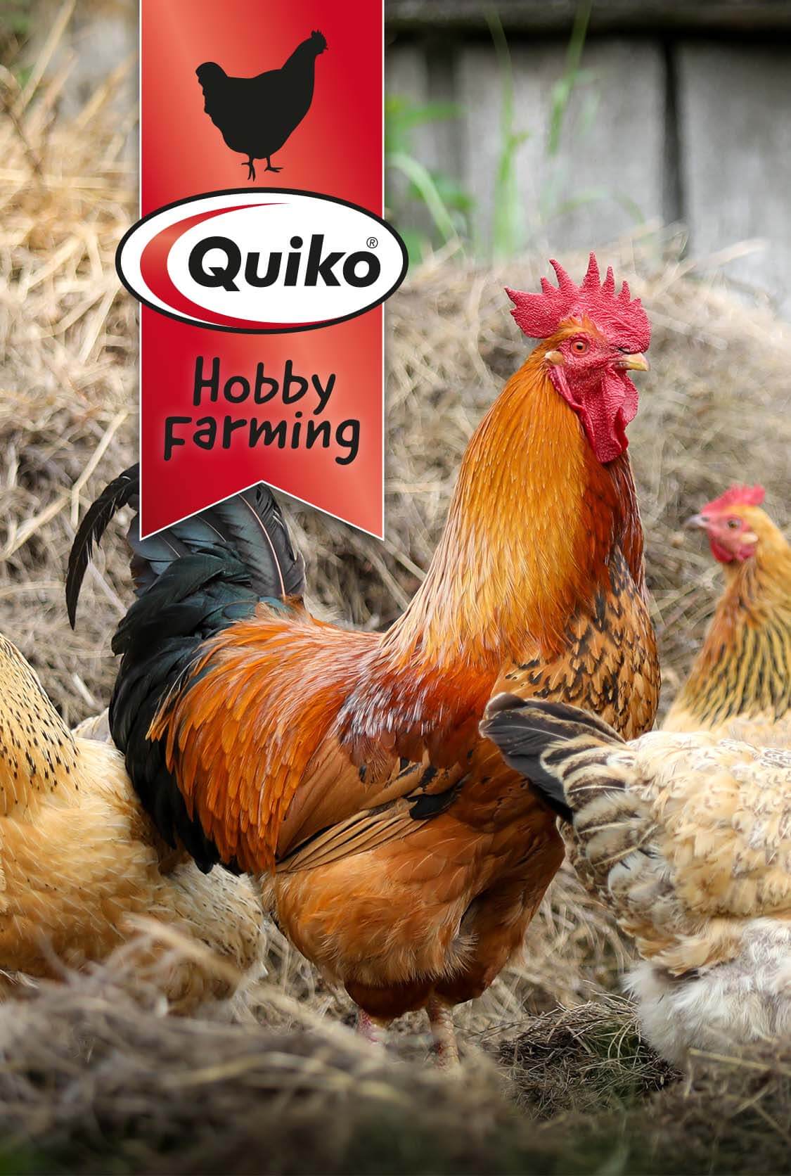 Hühner im Stall mit Quiko Hobby Farming Logo