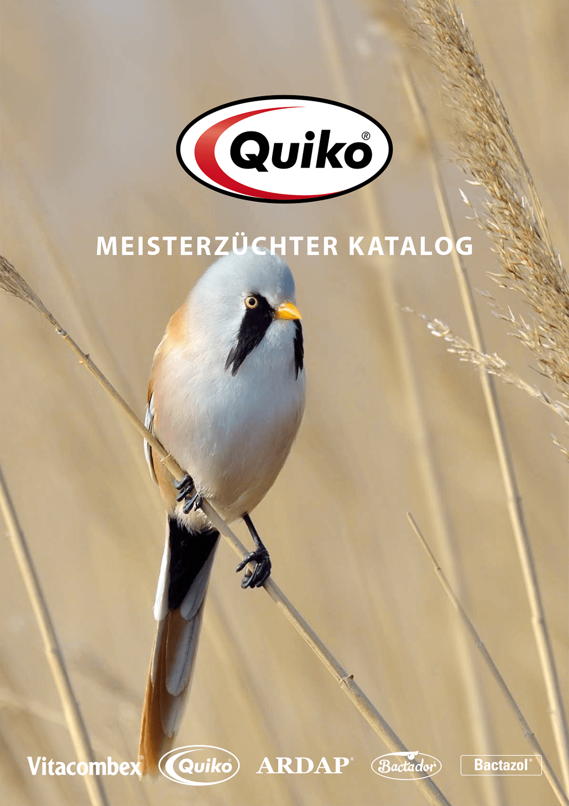 Quiko Katalog für Meisterzüchter 2024