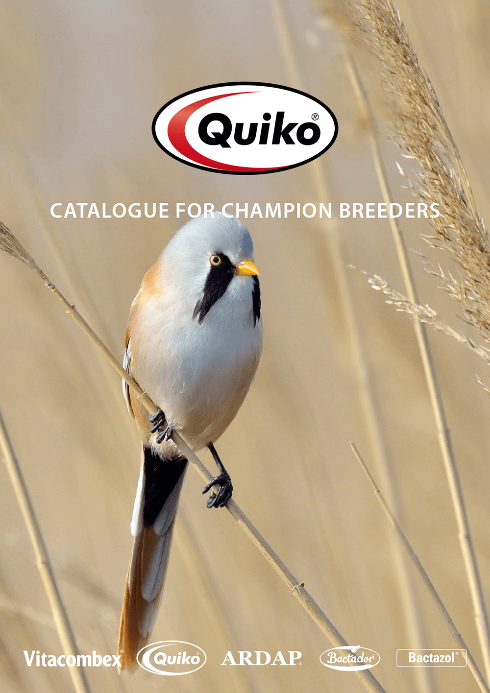 Quiko Catalogue for Champion Breeders 2024