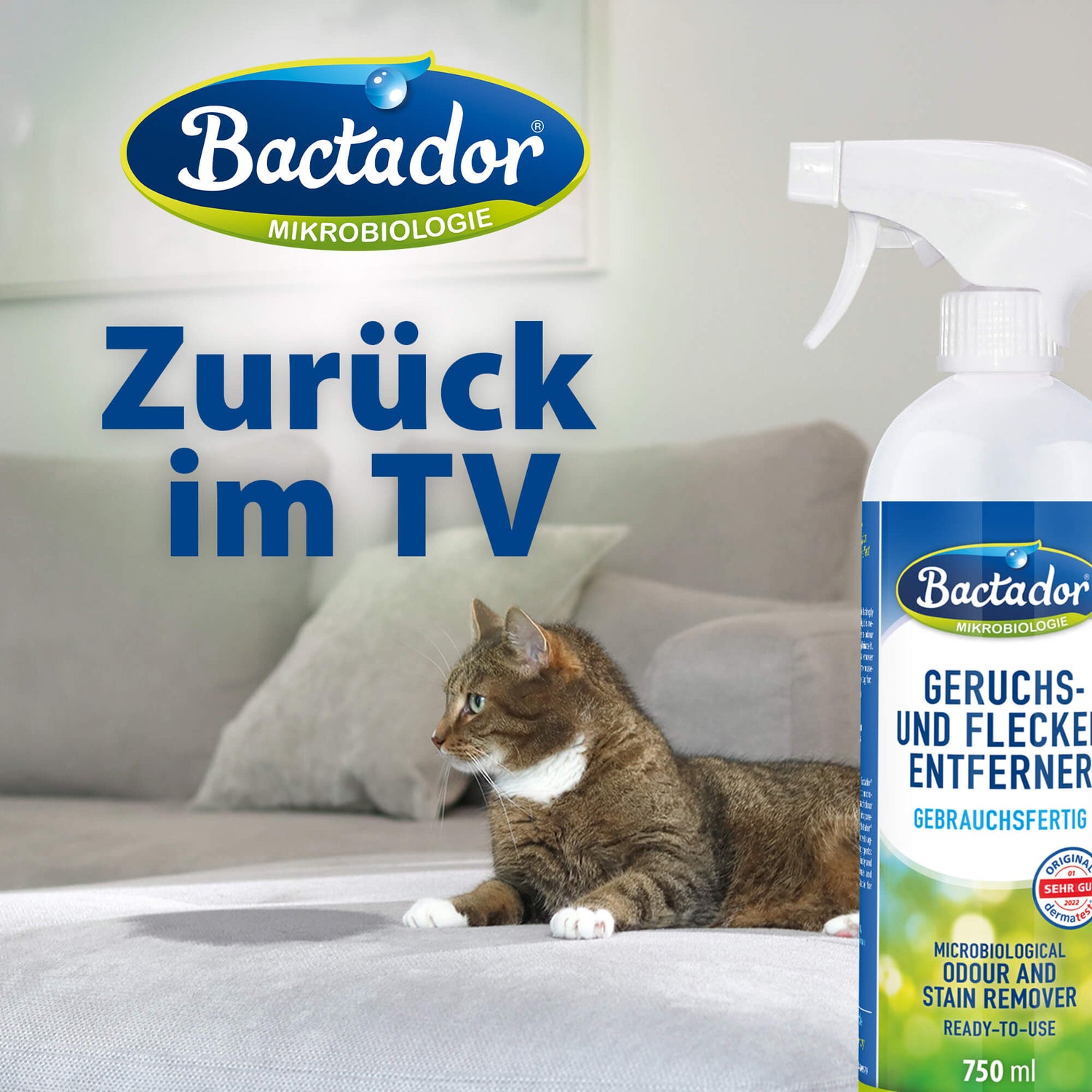 Katze liegt auf Sofa, Bactador zurück im TV