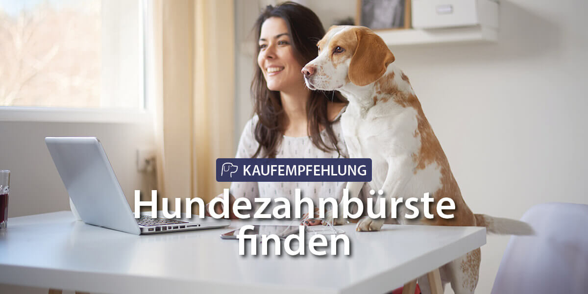 Hund und Frau sitzen vor Laptop - Hundezahnbürste finden Kaufempfehlung