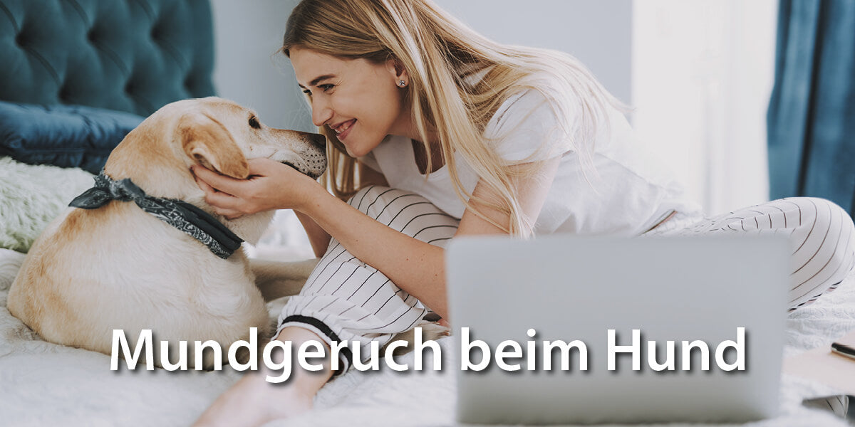 Hund sitzt mit Frauchen auf Bett - Mundgeruch beim Hund
