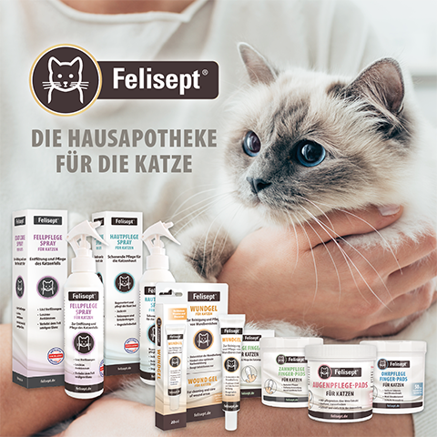 Felisept - the first home pharmacy specially developed for cats