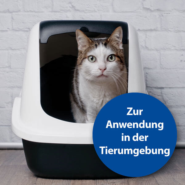 Katze sitzt in Katzentoilette - Zur Anwendung in der Tierumgebung