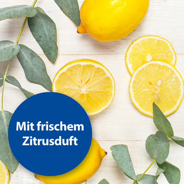 Gelbe Zitronen -  Mit frischem Zitrusduft