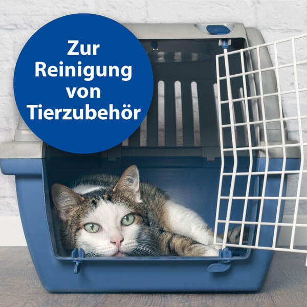 Katze liegt in Transportbox - Zur Reinigung von Tierzubehör