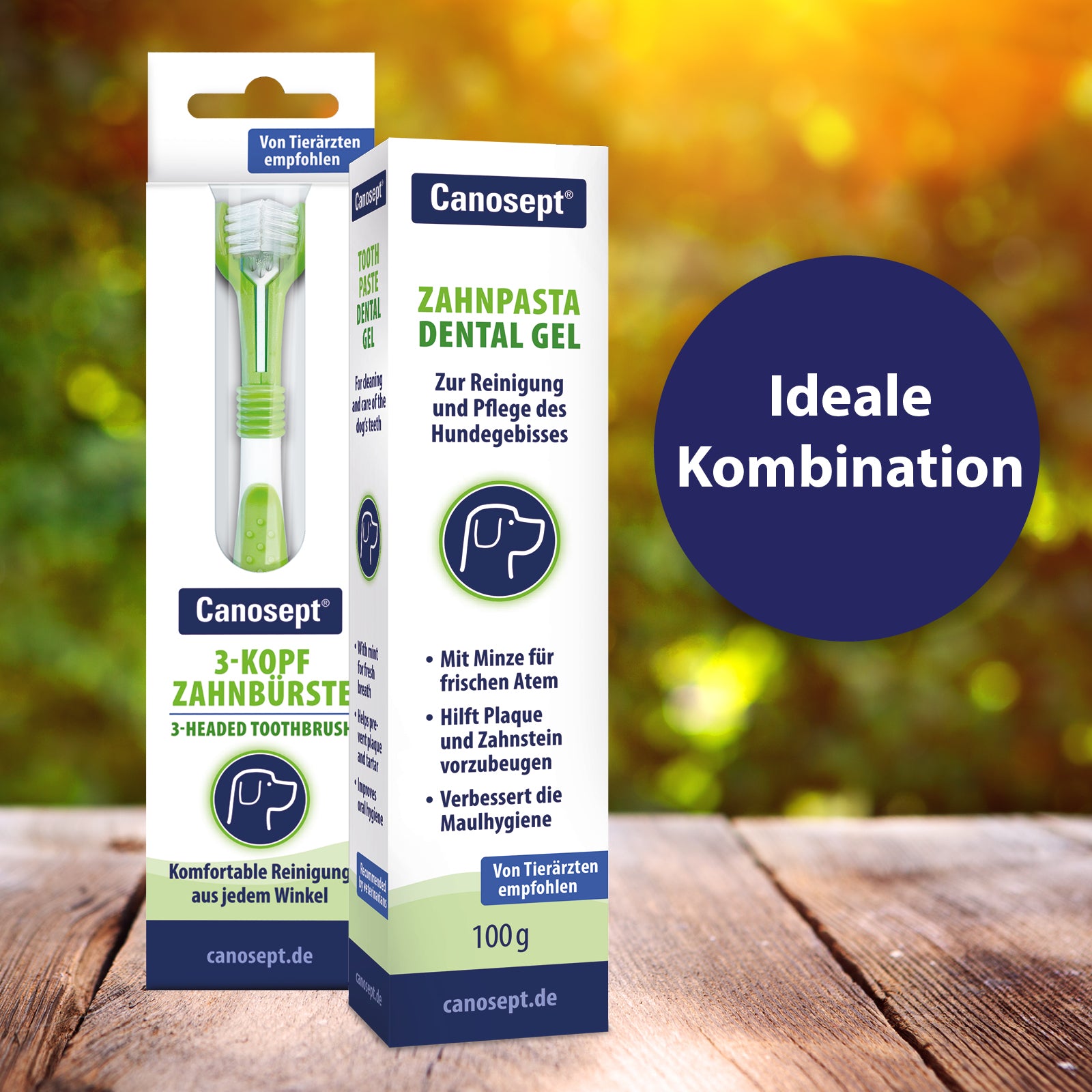 Canosept 3Kopf Zahnbürste - Ideale Kombination mit Zahnpasta