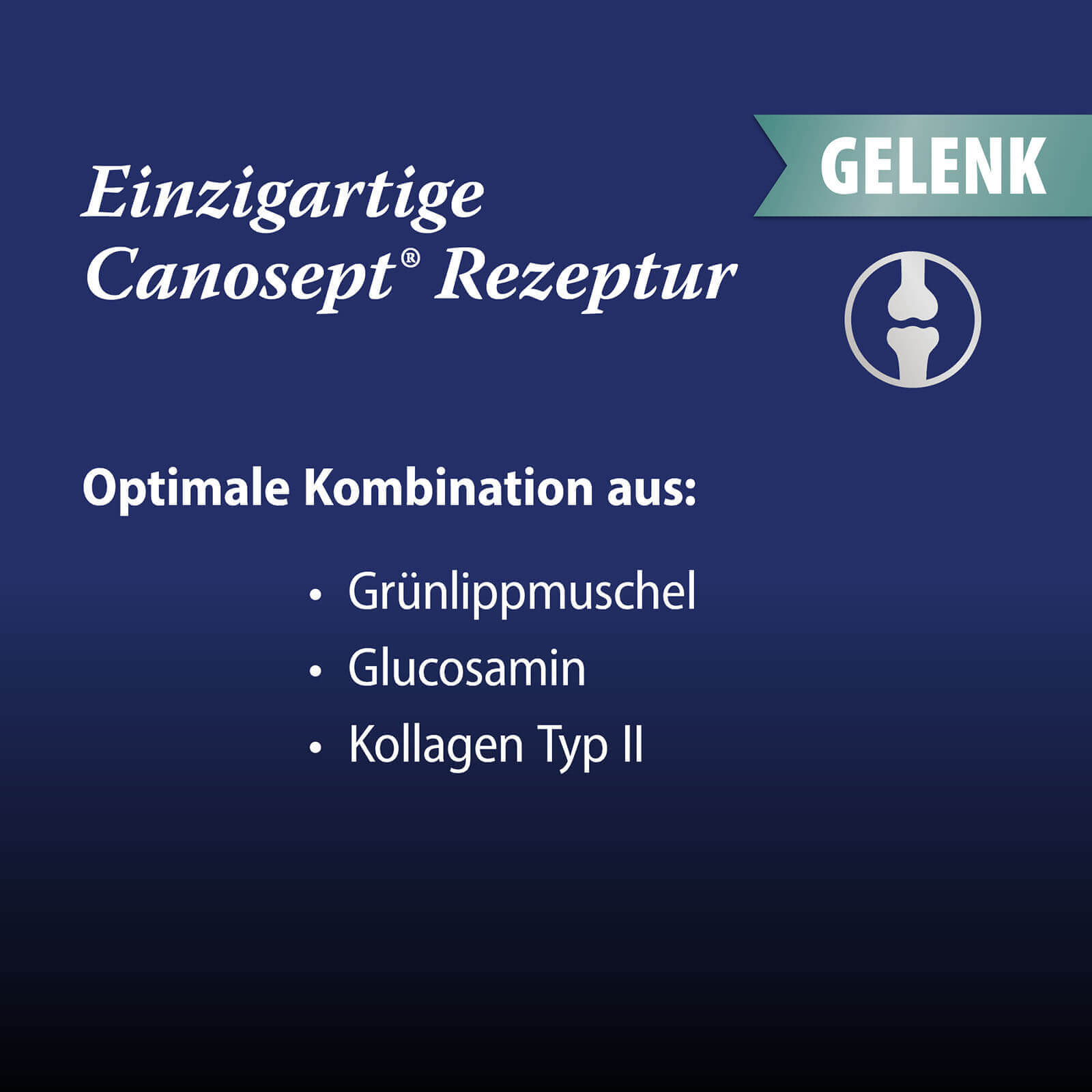 Einzigartige Canosept-Rezeptur: Optimale Kombination aus Grünlippmuschelpulver, Glucosamin und undenaturiertem Kollagen Typ II