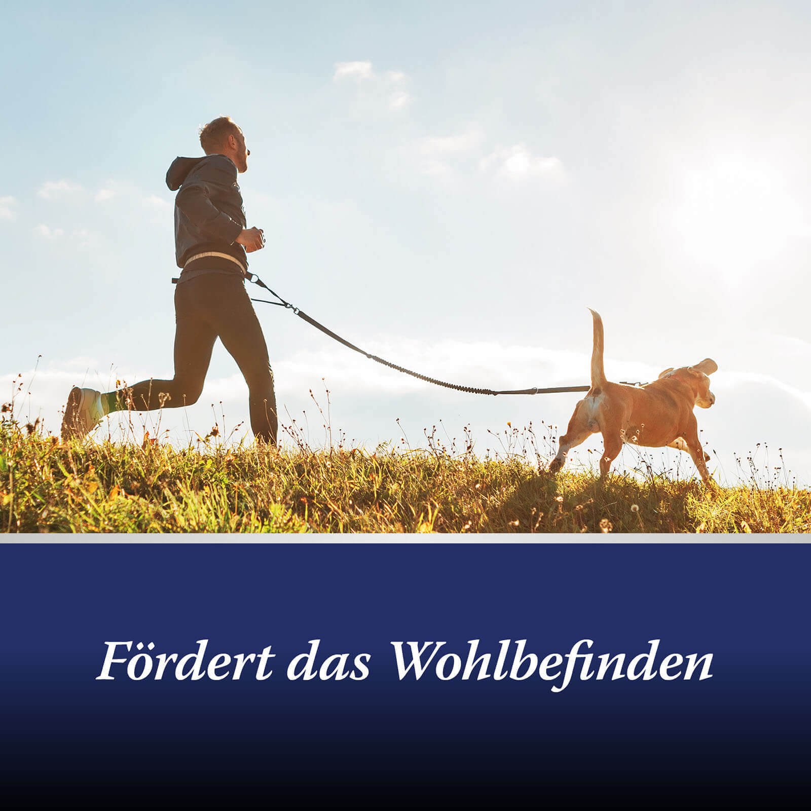 Jogger mit Hund an der Leine - Fördert das Wohlbefinden