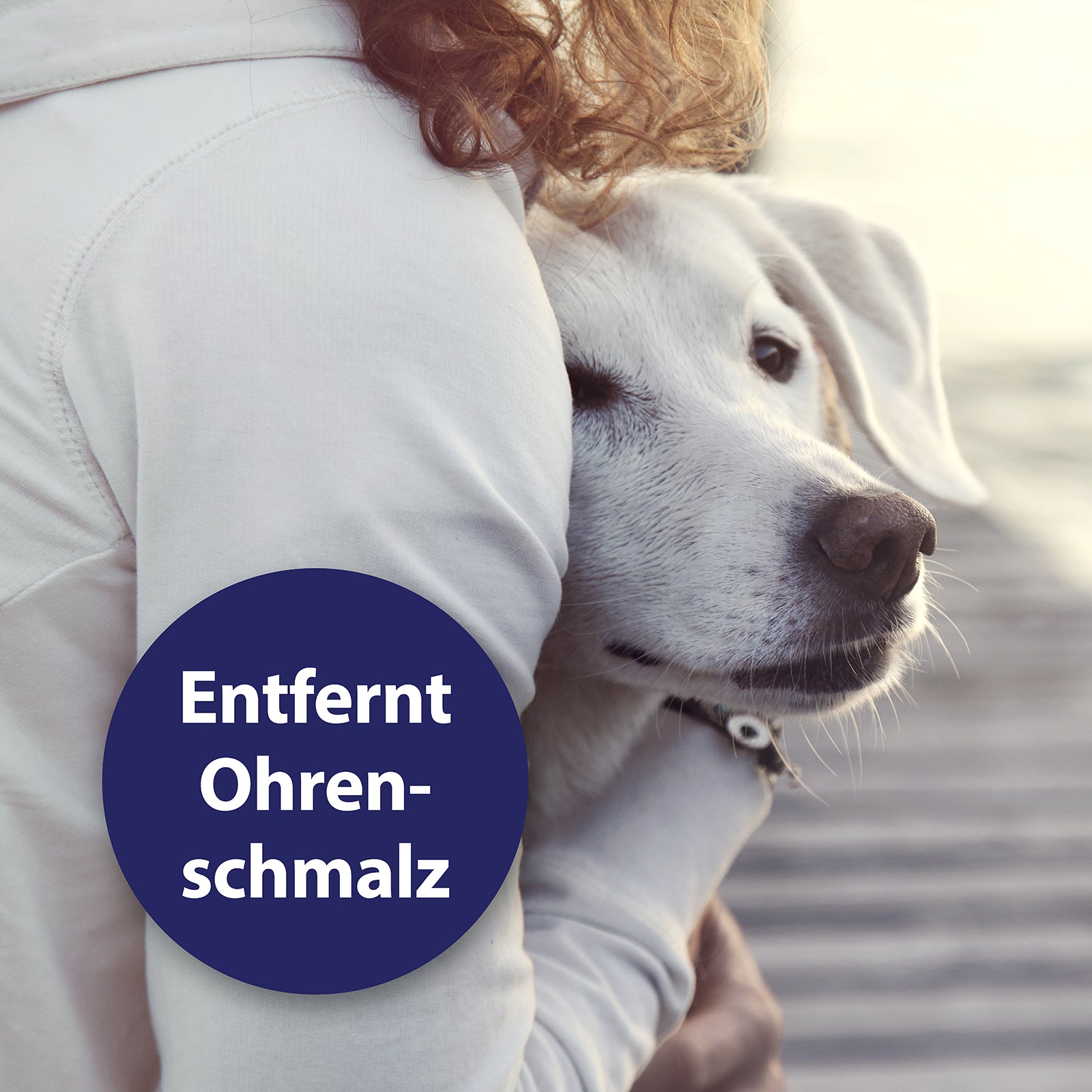 Frau umarmt Hund - Entfernt Ohrenschmalz