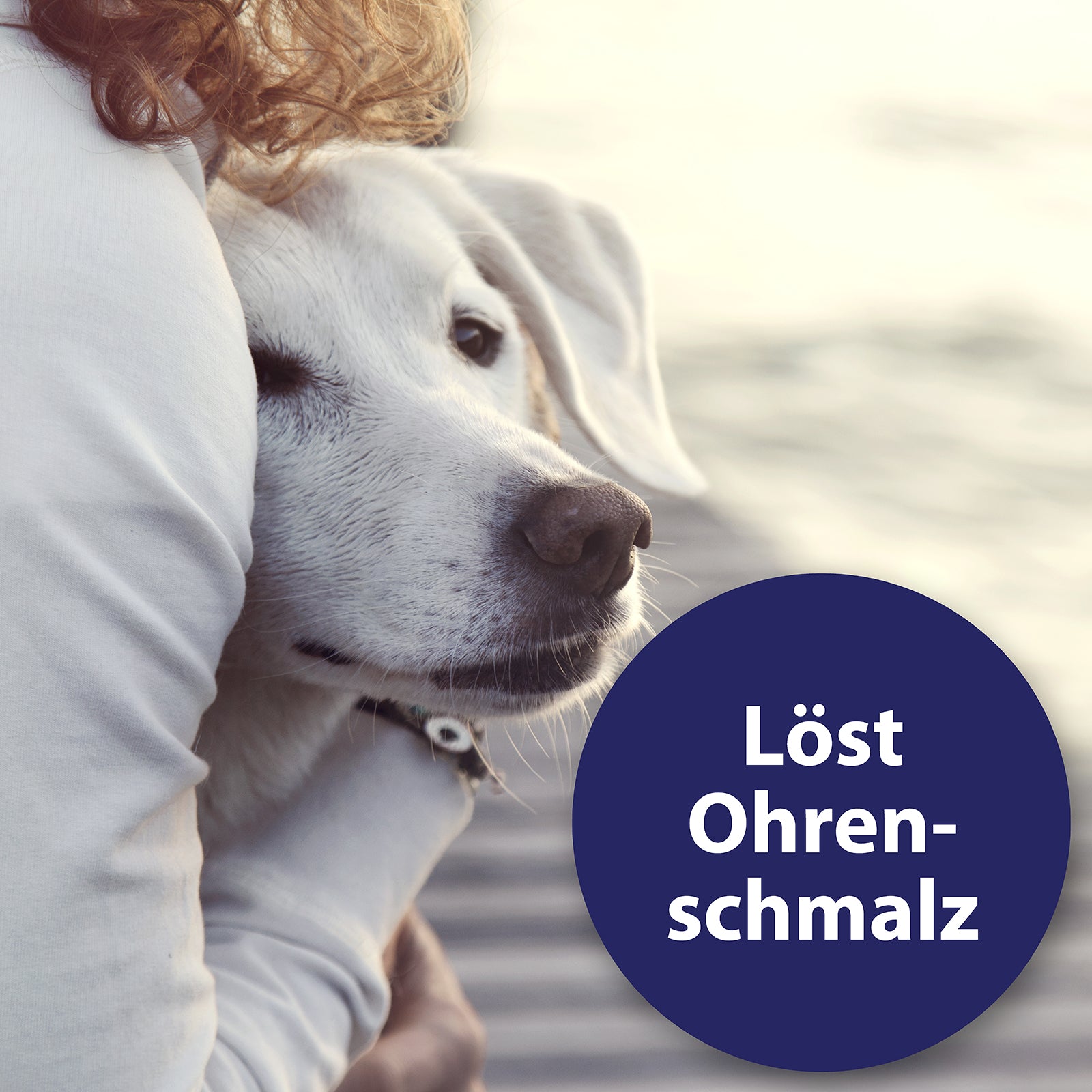 Frau umarmt Hund - Löst Ohrenschmalz