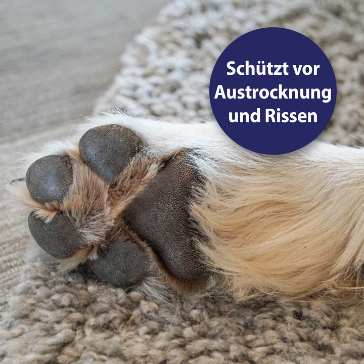 Hundepfote - Schützt vor Austrocknung und Rissen