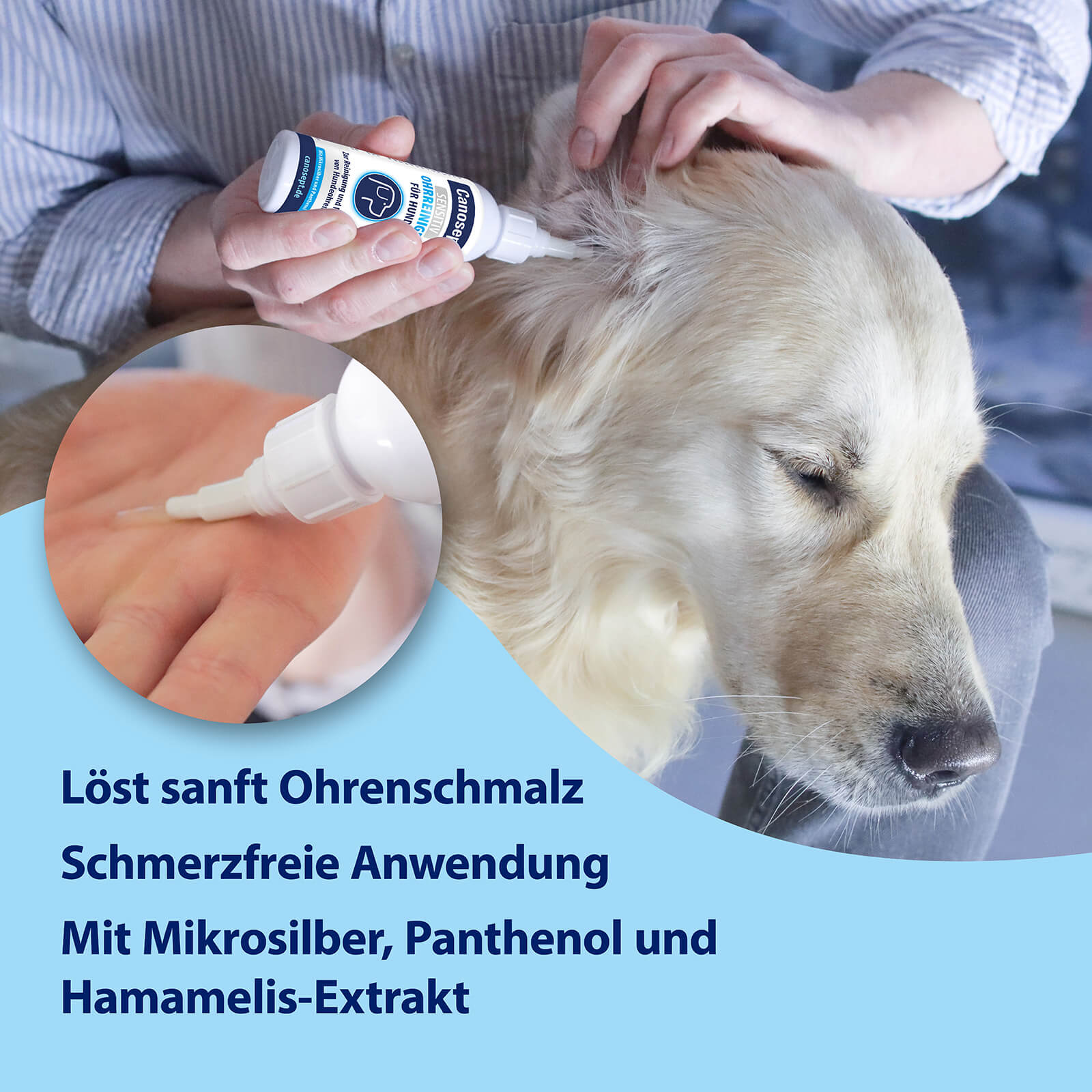 Sensitiv Ohrreiniger wird in Hundeohr getropft, Löst Ohrenschmalz, Schmerzfreie Anwendung