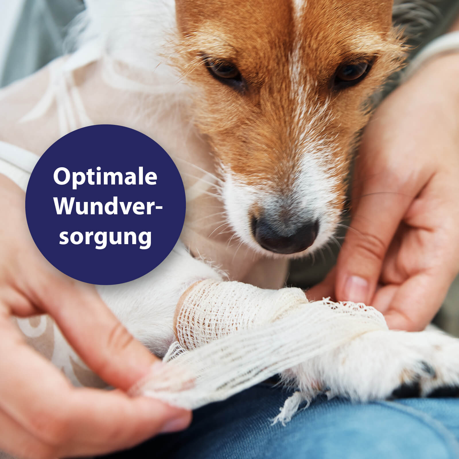 Canosept Wundgel mit optimaler Wundversorgung