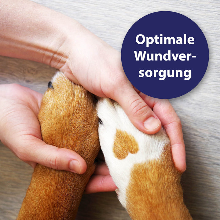 Optimale Wundversorgung mit dem Canosept Wundspray