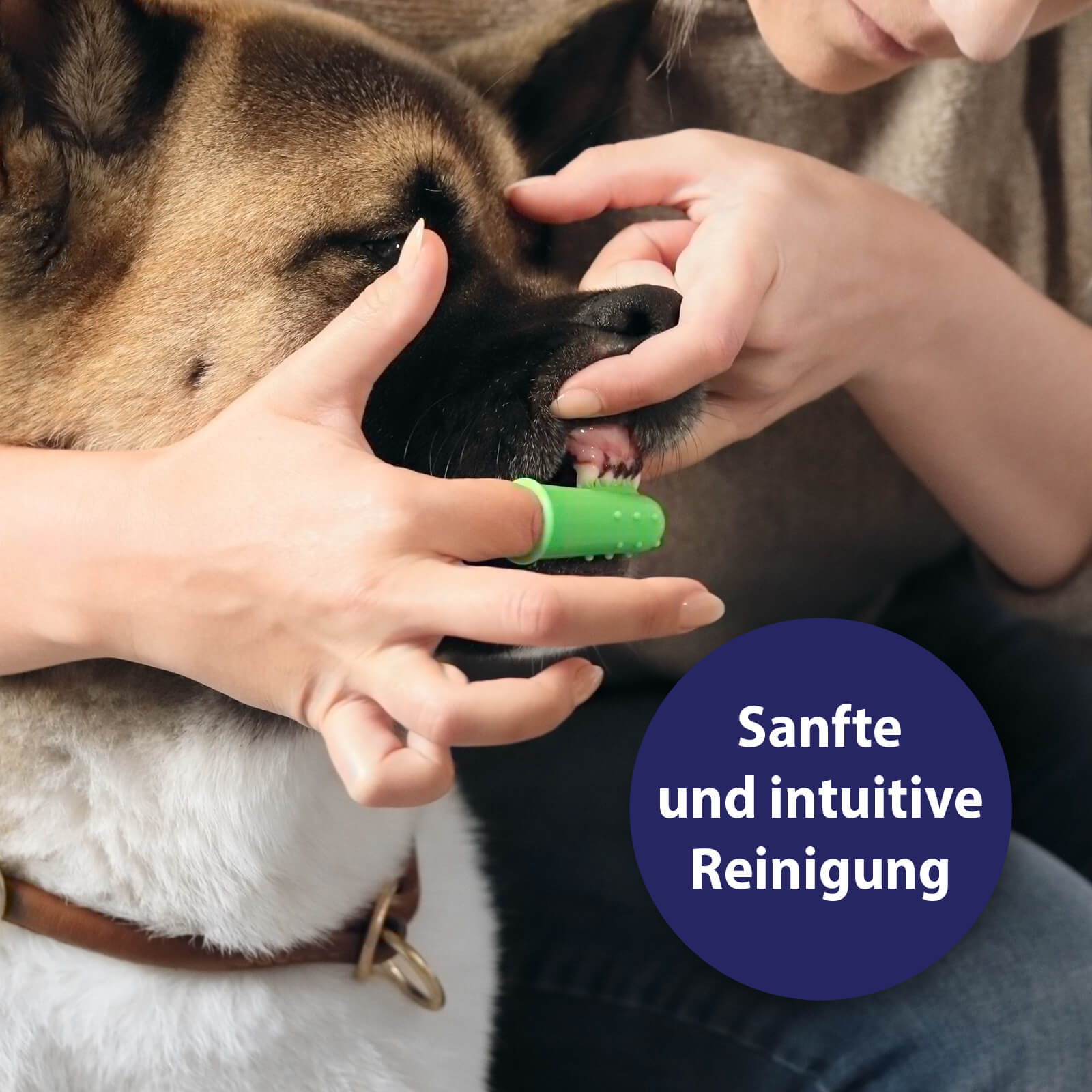 Anwendung der Canosept Zahnpflege Fingerbürste - Sanfte und intuitive Reinigung