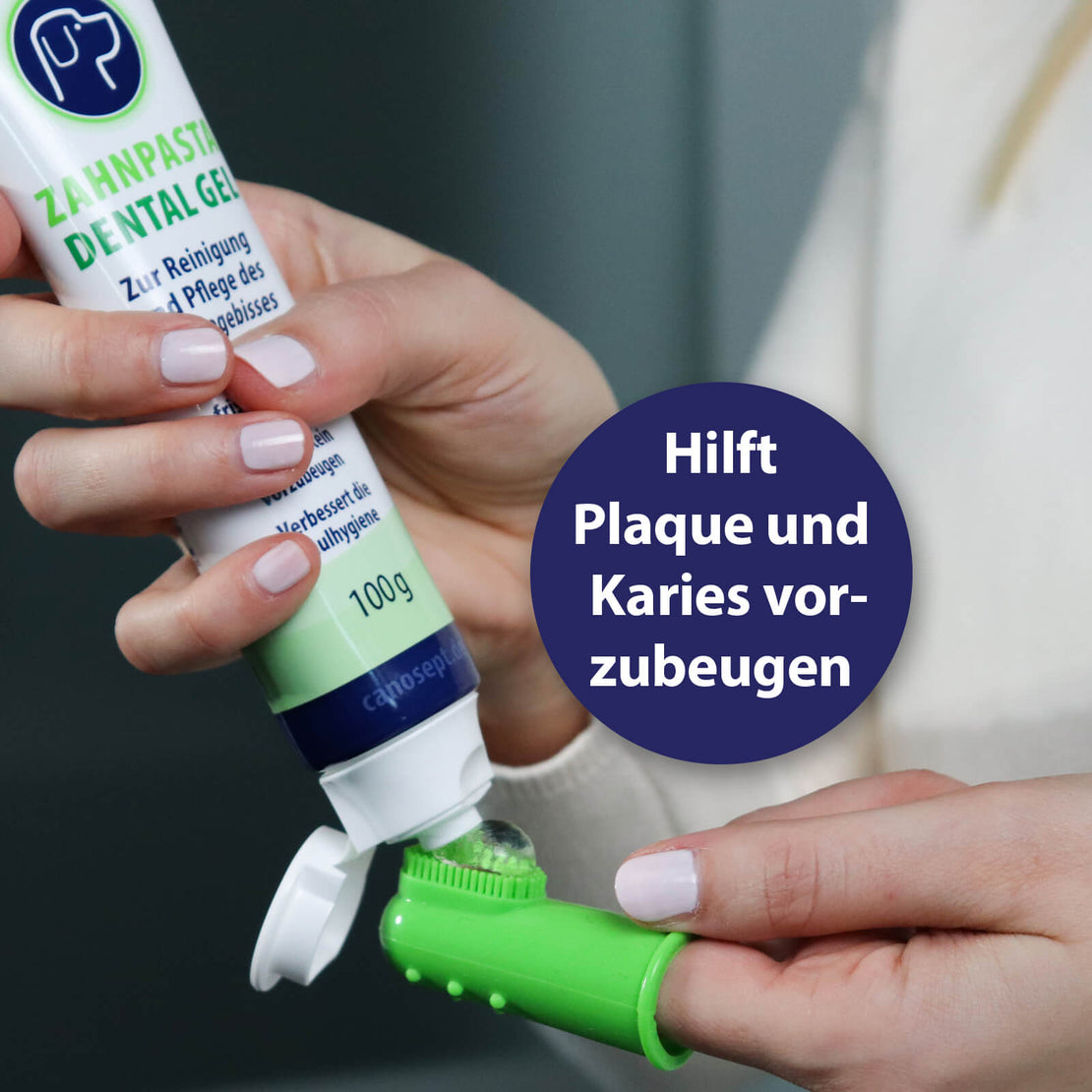 Canosept Dental Gel wird auf die Fingerbürsten aufgetragen - Hilft Plaque und Karies vorzubeugen