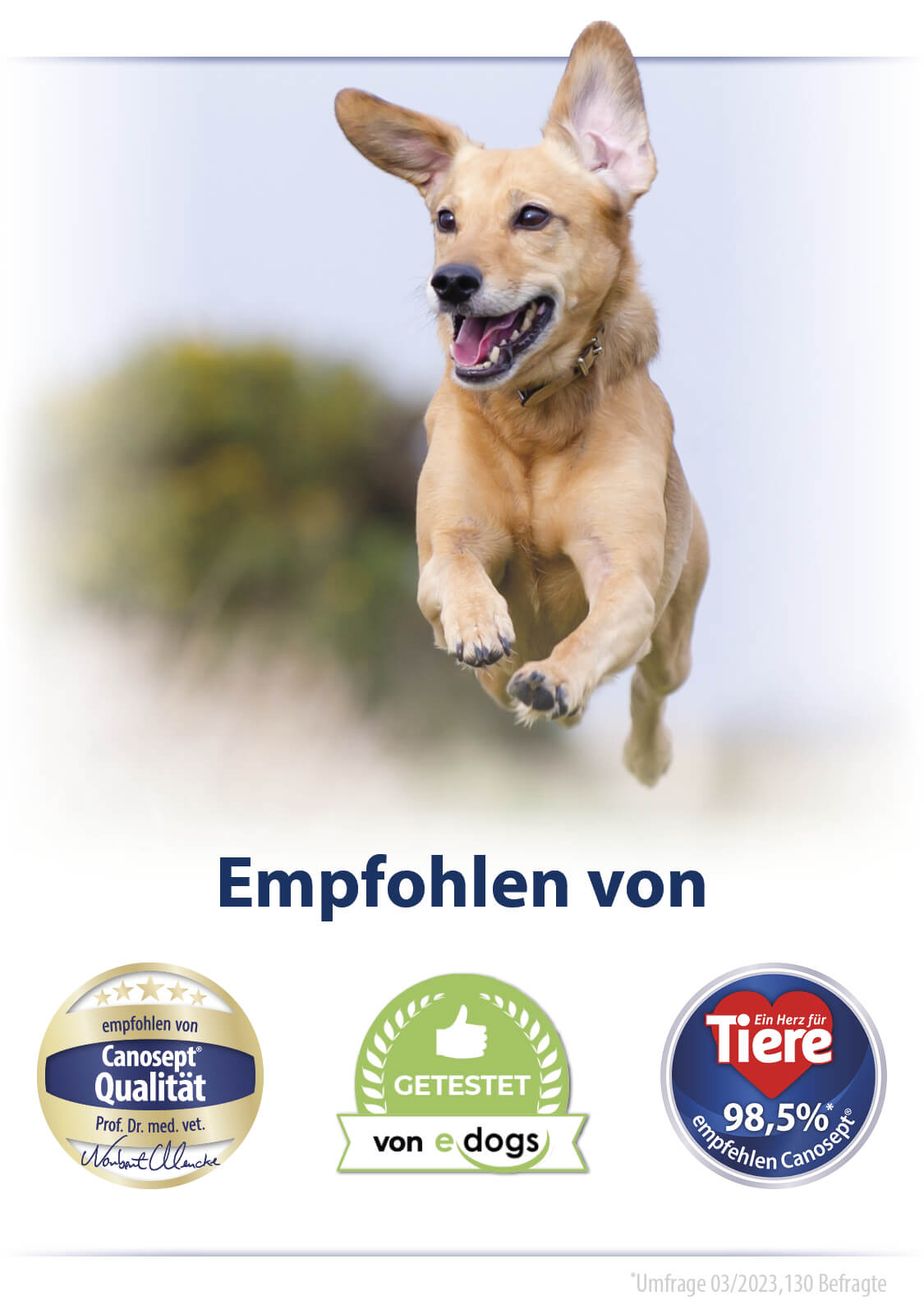 Hund mit trusted Icons  "Canosept Qualität""Getestet von edogs" und "98,5% Weiterempfehlung"