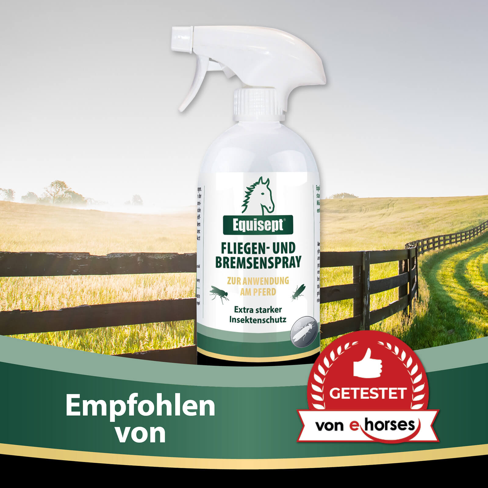 Equisept Fliegen- und Breemsenspray wird von ehorses empfohlen