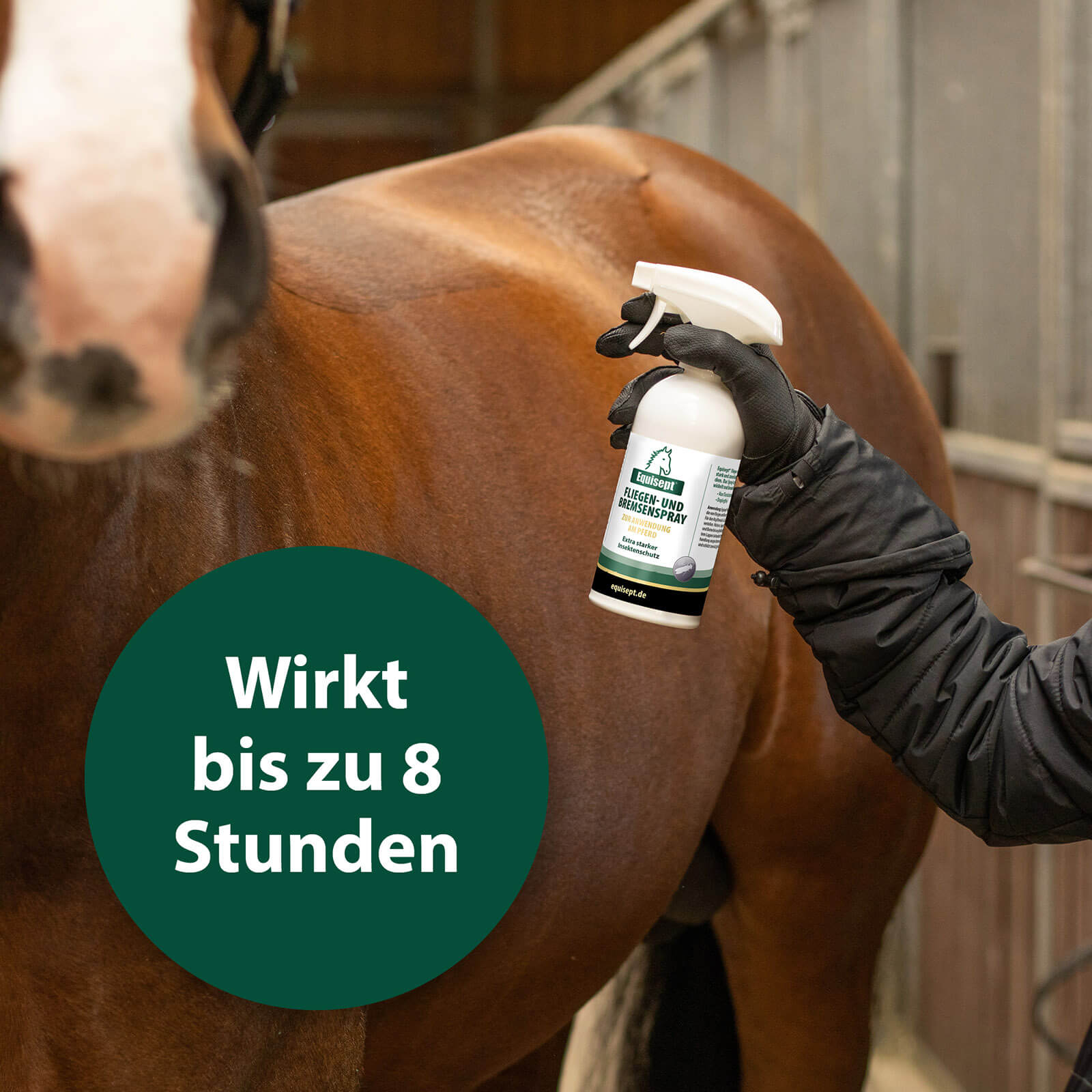 Pferd wird von Fliegen- und Bremsenspray eingesprüht - Wirkt bis zu 8 Stunden