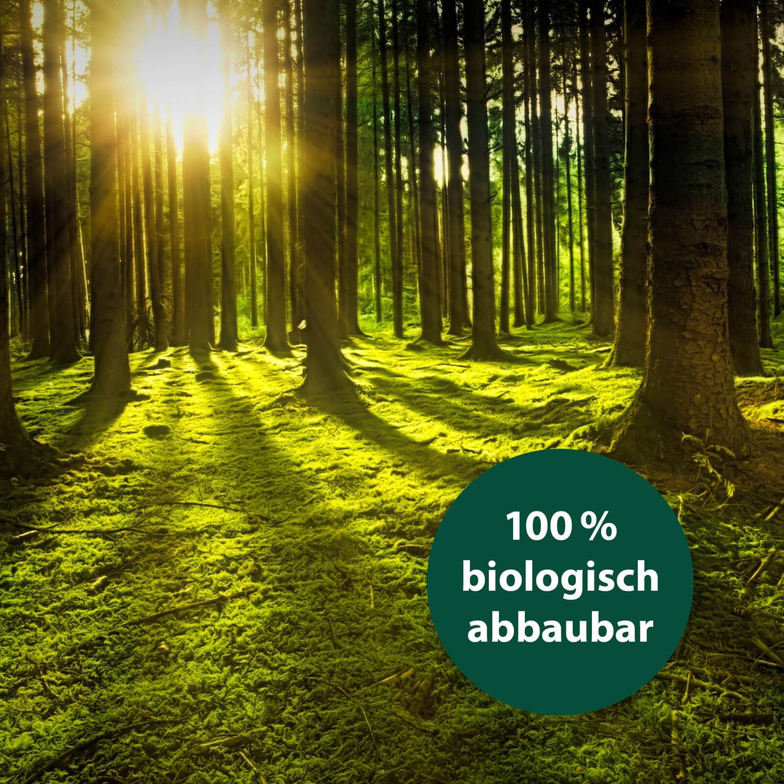Grüner Wald - 100% biologisch abbaubar