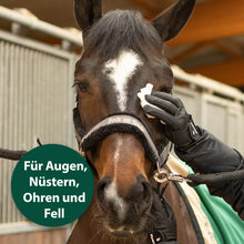 Laden Sie das Bild in den Galerie-Viewer, Auge von Pferd wird mit Pflegetuch gereinigt - Für Augen, Nüstern, Ohren und Fell
