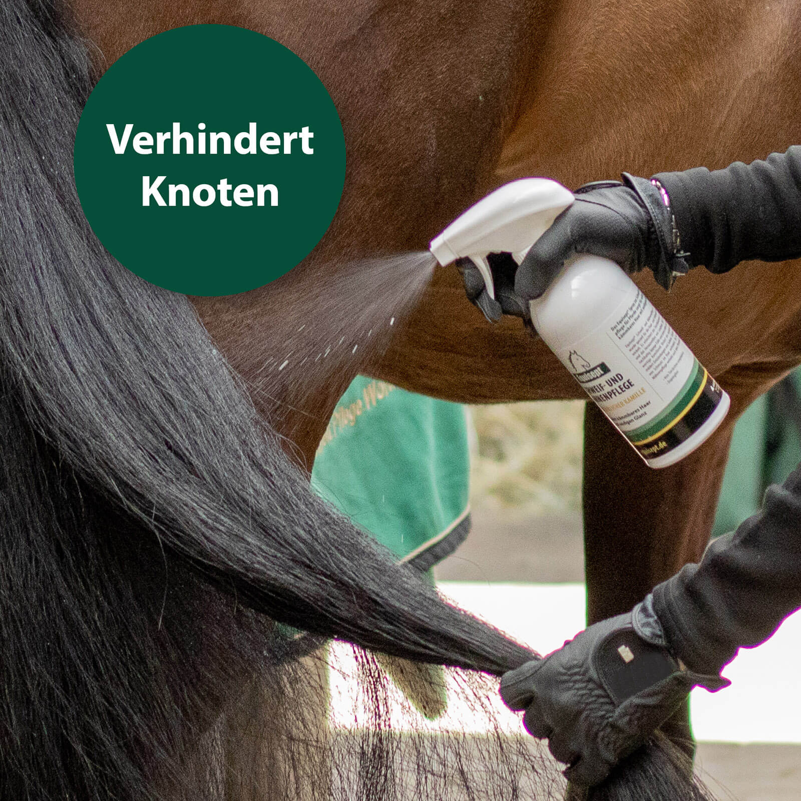 Reiterin sprüht Pferdeschwanz ein - Verhindert Knoten