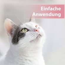 Laden Sie das Bild in den Galerie-Viewer, Helle Katze schaut nach oben - Einfache Anwendung
