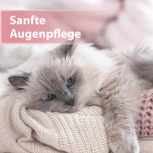 Laden Sie das Bild in den Galerie-Viewer, Graue Langhaarkatze kuschelt auf Decke - Sanfte Augenpflege
