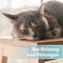 Laden Sie das Bild in den Galerie-Viewer, Braune Katze liegt auf Stuhl - Bei Reizungen und Rötungen
