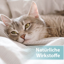 Laden Sie das Bild in den Galerie-Viewer, Katze liegt auf Bettdecke - Natürliche Wirkstoffe
