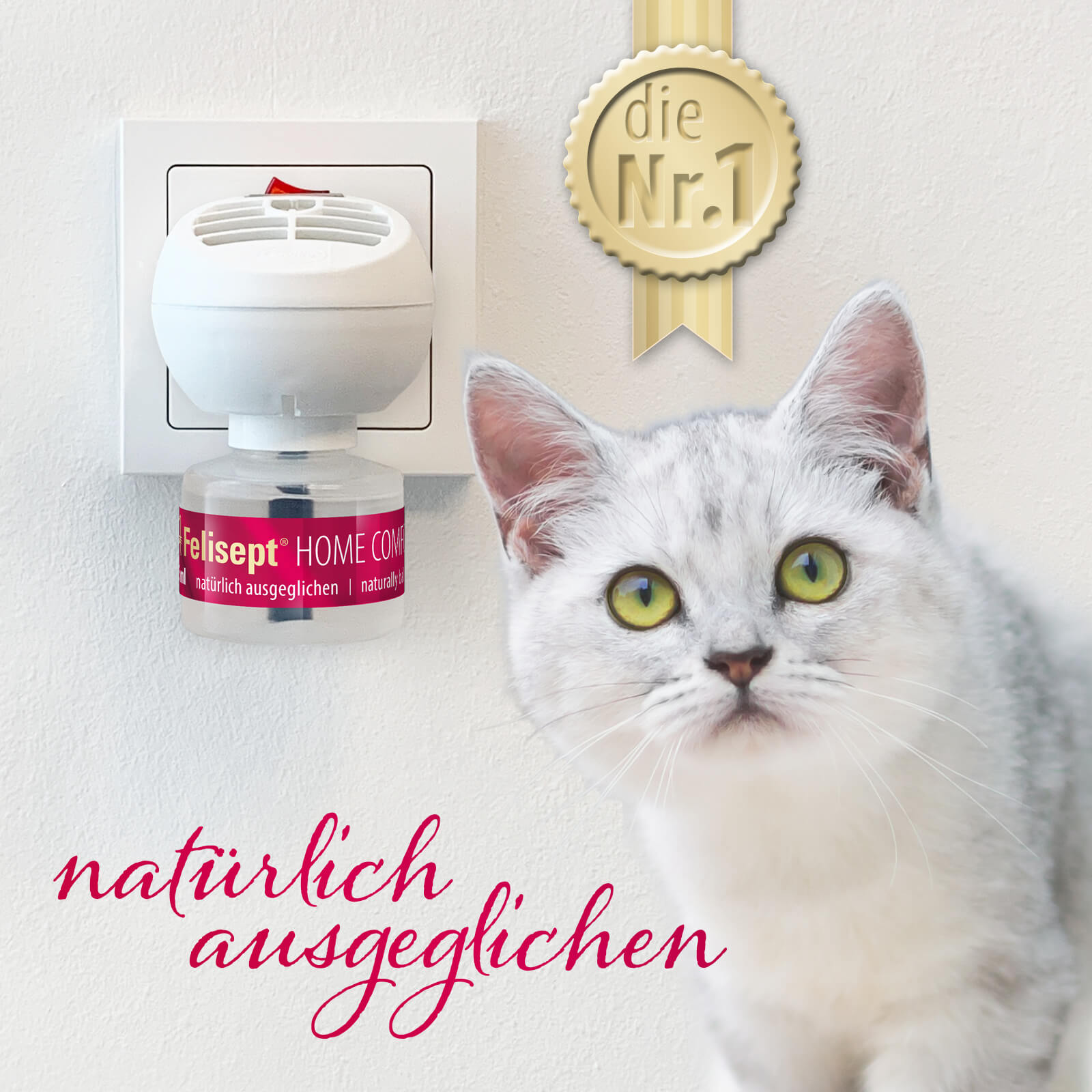 Felisept Home Comfort Set für die Steckdose 