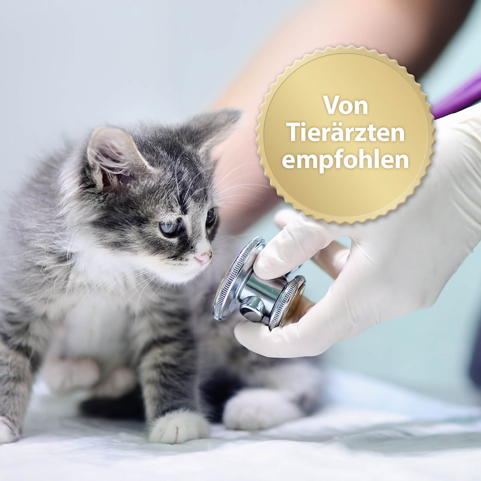 Von Tierärzten empfohlen
