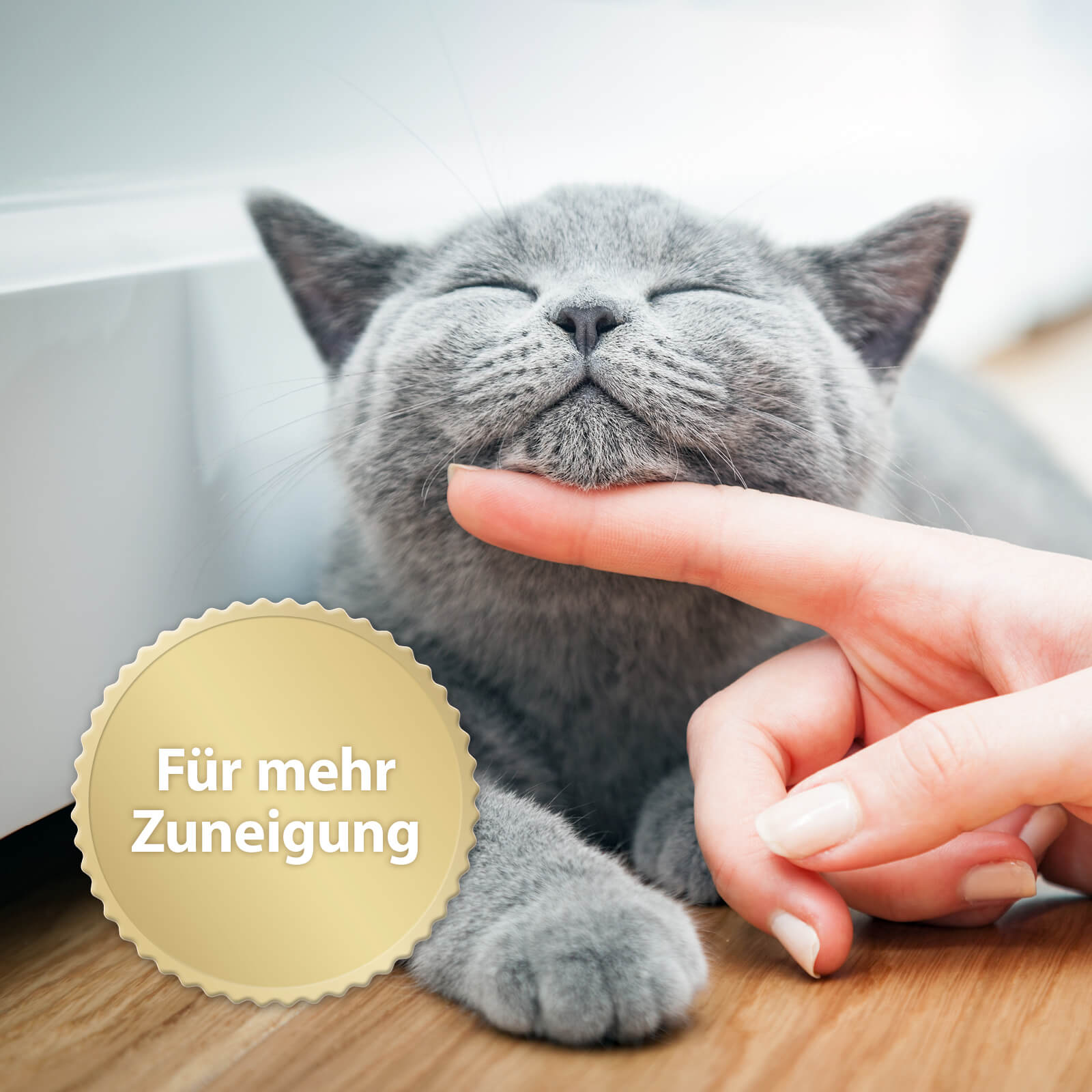 Graue Katze lässt sich am Kinn streicheln mit der Schrift 