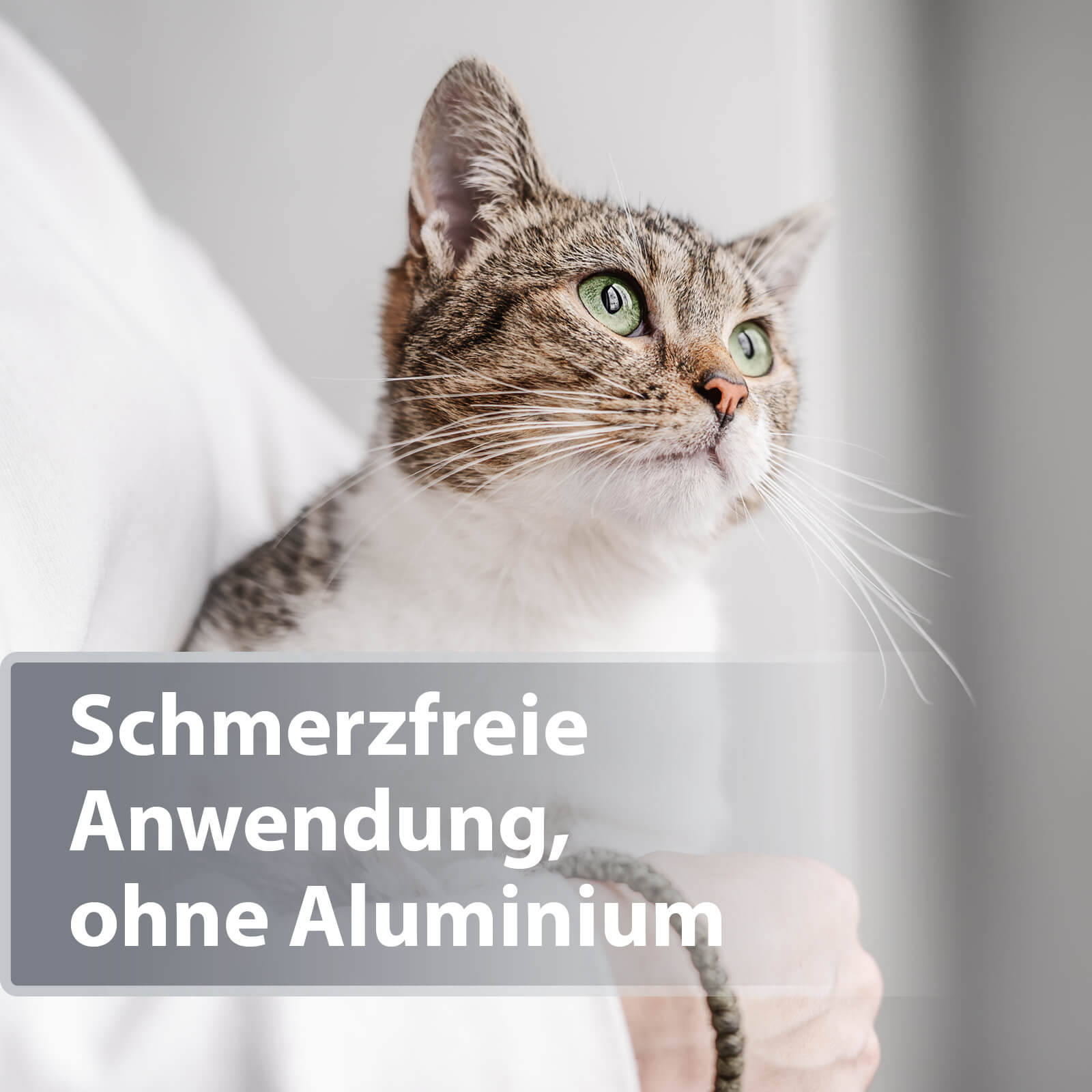 Katze wird im Arm gehalten - Schmerzfreie Anwendung, ohne Aluminium