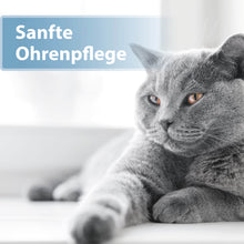 Laden Sie das Bild in den Galerie-Viewer, Graue Katze liegt auf der Seite - Sanfte Ohrenpflege
