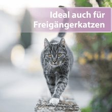 Laden Sie das Bild in den Galerie-Viewer, Graue Katze läuft über schmale Mauer - Ideal auch für Freigängerkatzen
