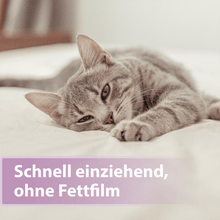 Laden Sie das Bild in den Galerie-Viewer, Graue Katze streckt sich im Bett - Schnell einziehend, ohne Fettfilm
