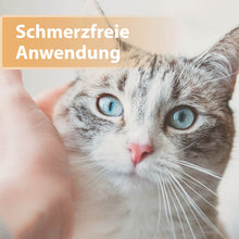 Laden Sie das Bild in den Galerie-Viewer, Helle Katze mit blauen Augen - Schmerzfreie Anwendung

