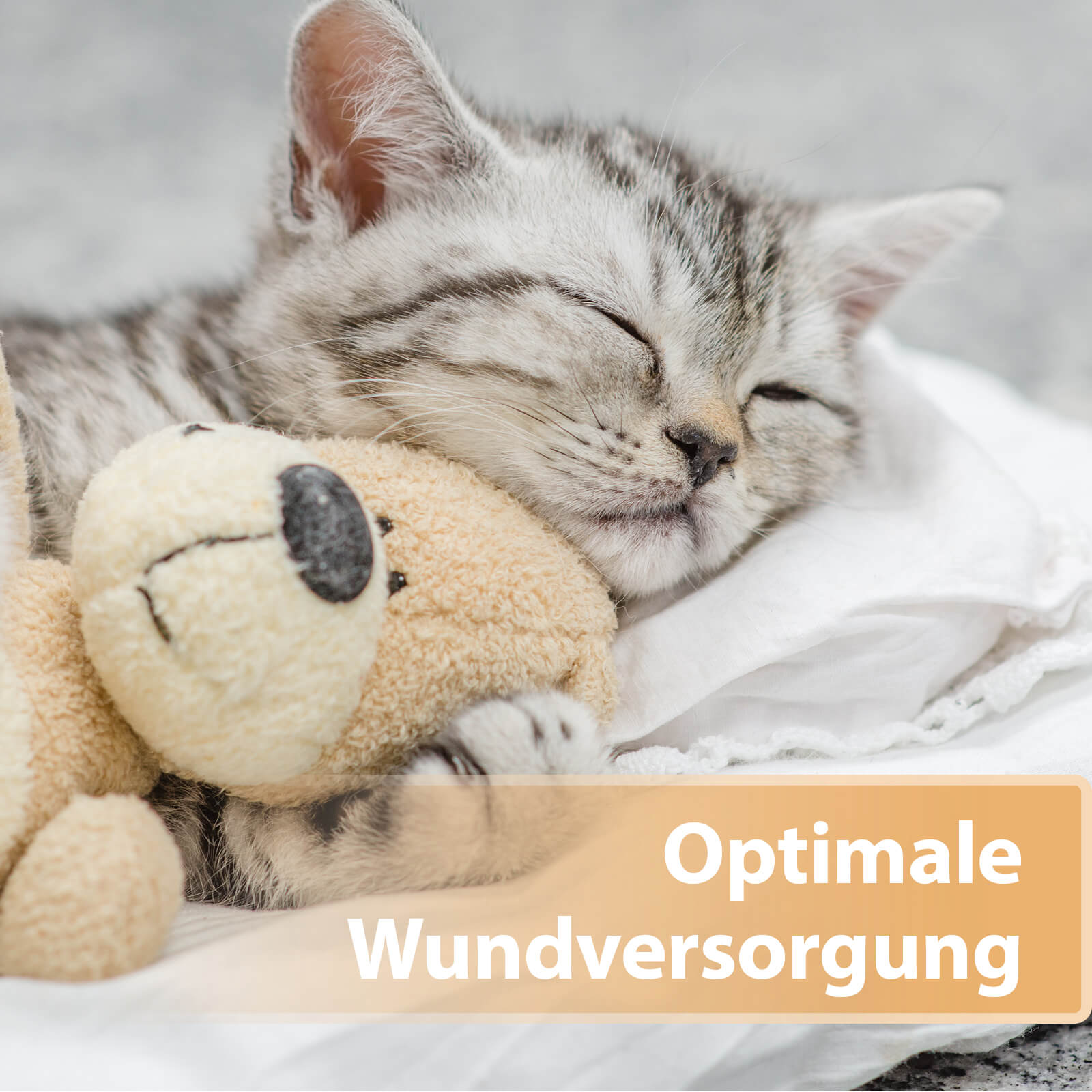 Katze schlafend mit Kuscheltier im Arm - Optimale Wundversorgung