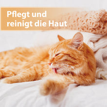 Laden Sie das Bild in den Galerie-Viewer, Katze liegt auf Couch und leckt sich Fell -Pflegt und reinigt die Haut
