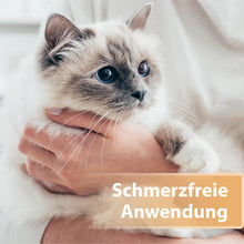 Laden Sie das Bild in den Galerie-Viewer, Katze wird im Arm gehalten - Schmerzfreie Anwendung
