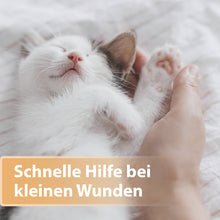 Laden Sie das Bild in den Galerie-Viewer, Katzenbaby schläft und streckt Pfote - Schnelle Hilfe bei kleinen Wunden
