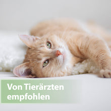 Laden Sie das Bild in den Galerie-Viewer, Helle Katze liegt auf der Seite - Von Tierärzten empfohlen

