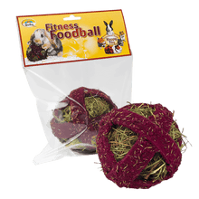 Laden Sie das Bild in den Galerie-Viewer, Quiko Fitness Foodball: Snack und Spielspaß für alle Nager
