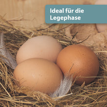 Laden Sie das Bild in den Galerie-Viewer, Eier liegen im Nest - Ideal für die Legephase
